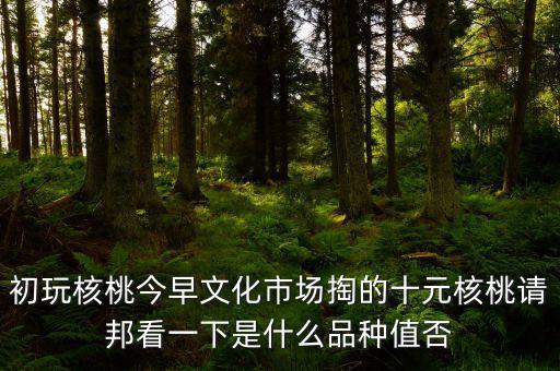 初玩核桃今早文化市場(chǎng)掏的十元核桃請(qǐng)邦看一下是什么品種值否
