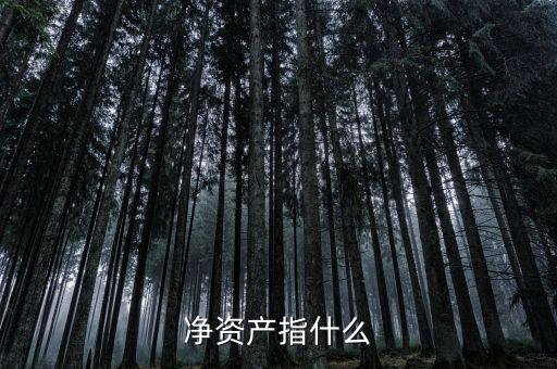 凈資產指什么