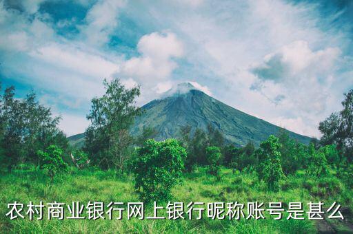 吳江農(nóng)村商業(yè)銀行用戶名是什么，銀行用戶名是什么