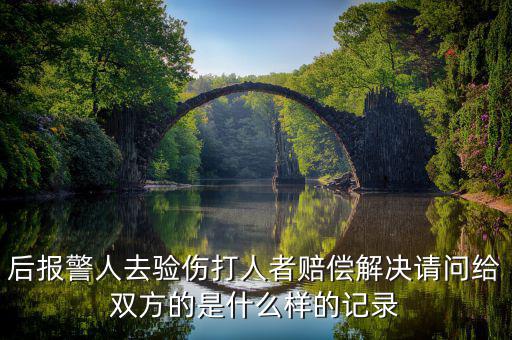 什么是賠償記錄，什么是無賠款優(yōu)待及上年賠款記錄系數(shù)