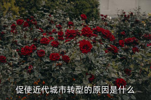 為什么城鎮(zhèn)化要轉(zhuǎn)型，促使近代城市轉(zhuǎn)型的原因是什么