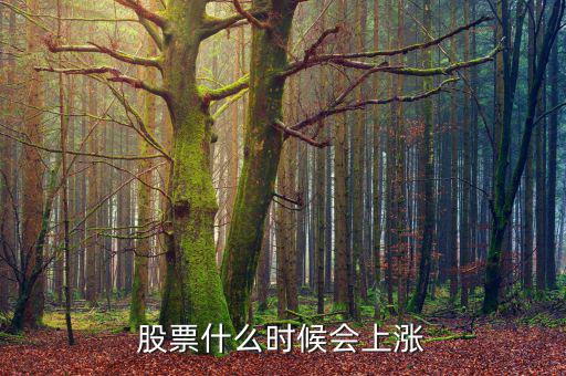 股票在什么情況下才會(huì)漲，股票什么時(shí)候會(huì)上漲