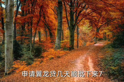 申請(qǐng)翼龍貸幾天能批下來(lái)7