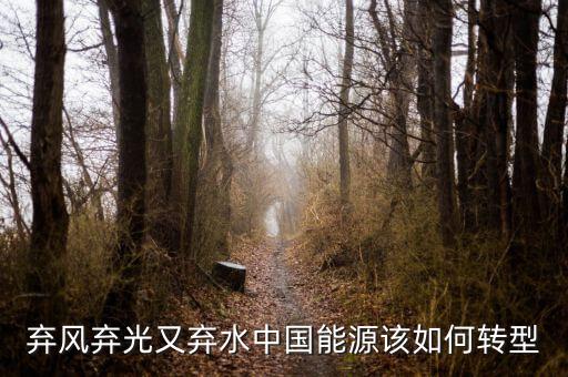 什么是能源轉(zhuǎn)型，棄風棄光又棄水中國能源該如何轉(zhuǎn)型