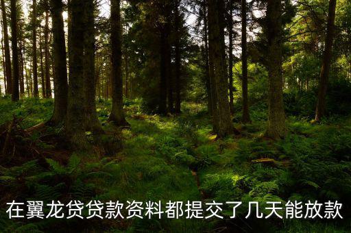 翼龍貸什么時(shí)候放項(xiàng)目，在翼龍貸貸款資料都提交了幾天能放款