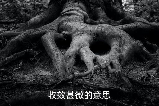 收效甚微的微是什么意思，收效甚微的意思