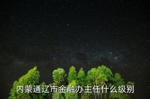 內蒙通遼市金融辦主任什么級別