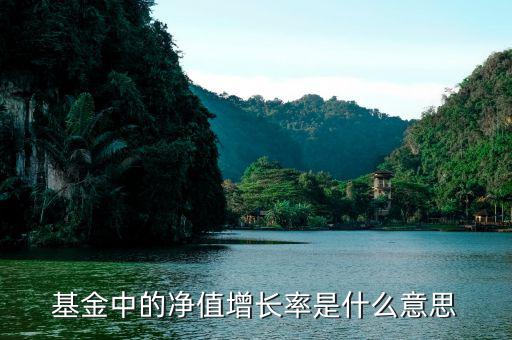 基金增長率是什么意思，在基金里成立以來增長率是什么意思啊如成立以來增長率是80