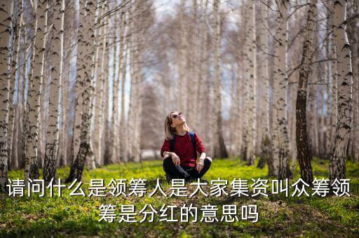 什么是領(lǐng)投人，請(qǐng)問(wèn)什么是領(lǐng)籌人是大家集資叫眾籌領(lǐng)籌是分紅的意思嗎