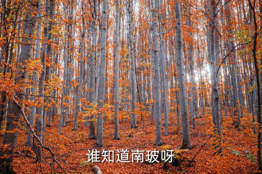 誰(shuí)知道南玻呀