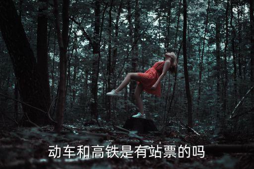 為什么高鐵沒有站票，為什么高鐵沒有站票