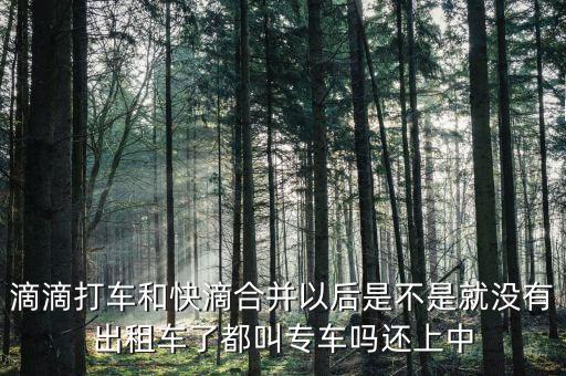 滴滴快滴合并叫什么，滴滴快的合并后叫什么