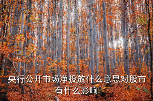 什么是央行凈投放，央行凈投放是甚么意思