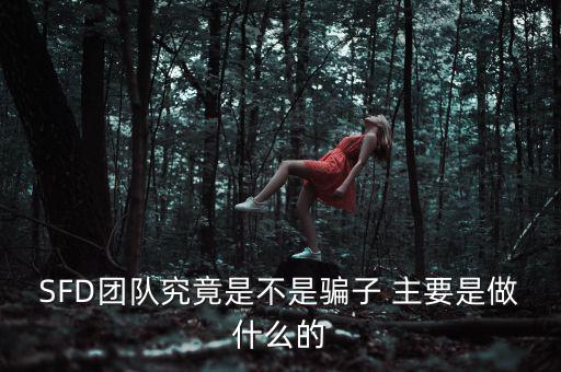 SFD團(tuán)隊究竟是不是騙子 主要是做什么的