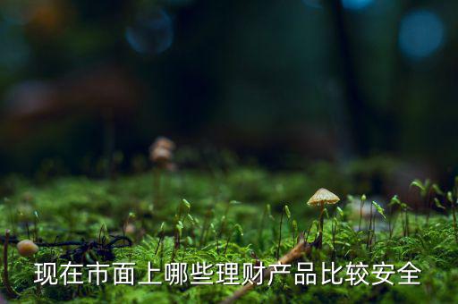 什么理財(cái)產(chǎn)品安全，做理財(cái)哪種安全些