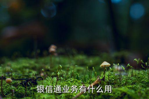 銀聯(lián)通是什么，銀信通業(yè)務有什么用