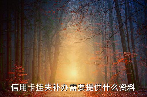 信用卡掛失需要什么，銀行信用卡掛失要帶哪些東西啊