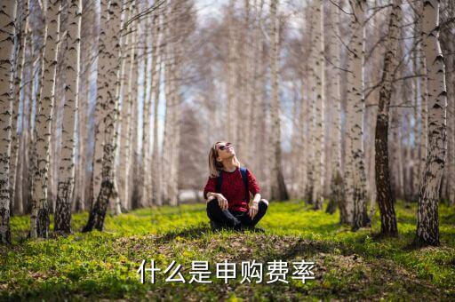 申購費(fèi)率是什么，基金里面的購回費(fèi)率和申購費(fèi)率是什么意思啊舉個例子唄