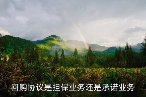 資產(chǎn)回購協(xié)議屬什么合同，股權(quán)轉(zhuǎn)讓及回購協(xié)議屬于借款合同嗎