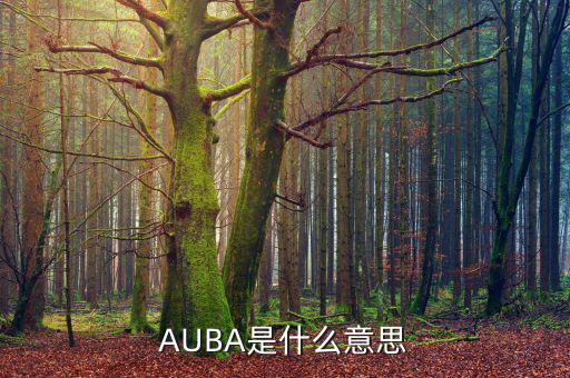 華夏現(xiàn)金增利貨幣a是什么，AUBA是什么意思