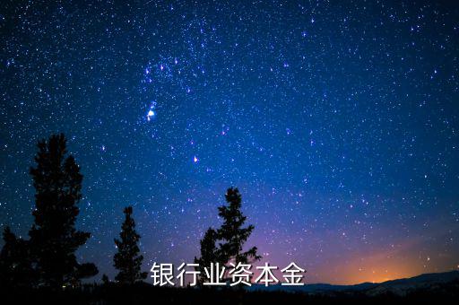 銀行資本金是什么，銀行業(yè)資本金