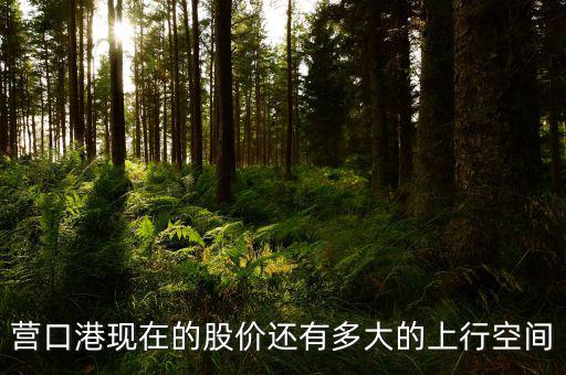 營口港為什么漲停，營口港股票怎么了