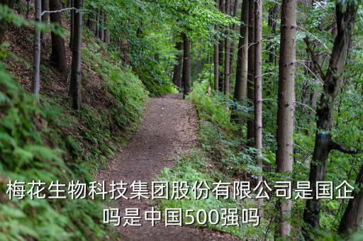 梅花生物是什么板塊，梅花生物科技集團(tuán)股份有限公司是國企嗎是中國500強(qiáng)嗎