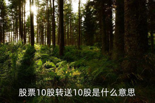 十股轉(zhuǎn)贈(zèng)十股是什么意思，股票10股轉(zhuǎn)送10股是什么意思