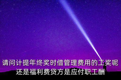 請問計提年終獎時借管理費(fèi)用的工獎呢還是福利費(fèi)貸方是應(yīng)付職工酬
