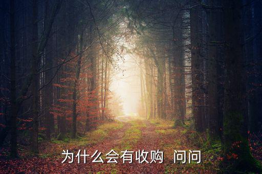 為什么會(huì)有收購(gòu)  問問