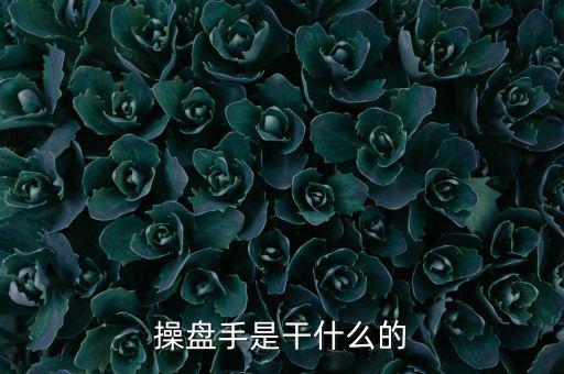 股票操盤手做什么，操盤手是干什么的
