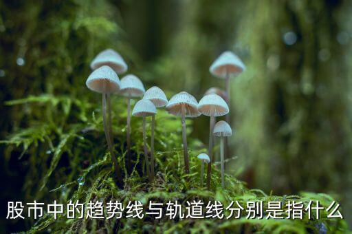 什么是股票軌道線，股票 軌道是什么