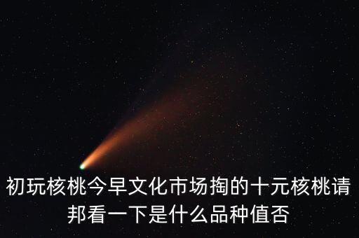 賭核桃是什么品種，請(qǐng)問我這個(gè)手玩核桃是什么品種好嗎值多錢
