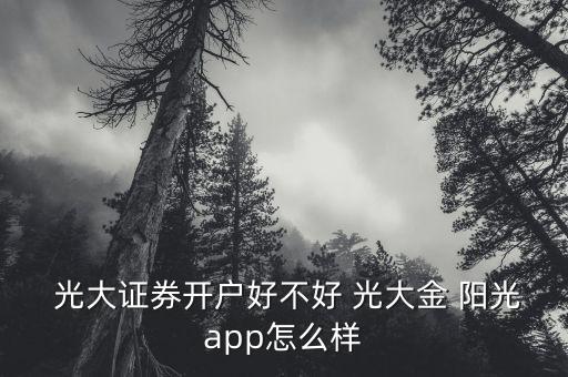  光大證券開戶好不好 光大金 陽(yáng)光app怎么樣
