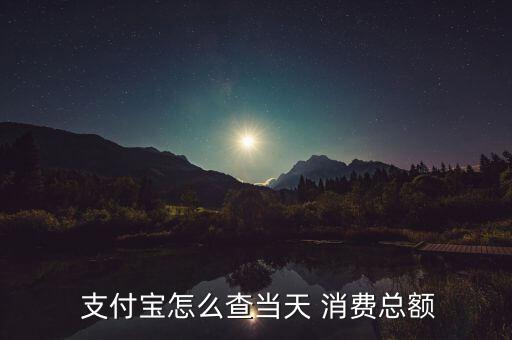 支付寶怎么看消費比例,支付寶查詢日消費總額方法如下