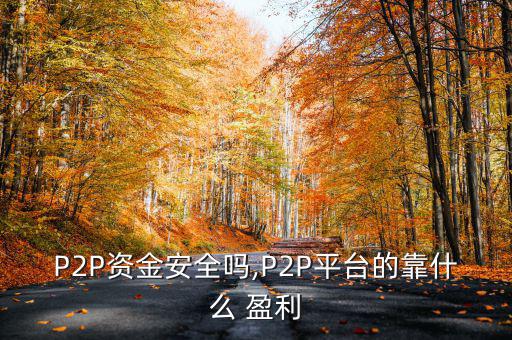 p2p公司怎么盈利,互聯網金融服務業(yè)務提供中介服務