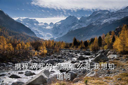  攜程 網買的 機票怎么退,我想知道啊