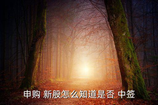 怎么查新股中簽時(shí)間,三個(gè)渠道可查詢(xún)新股是否中簽!
