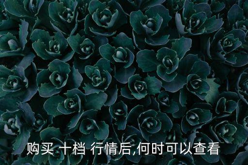 購(gòu)買 十檔 行情后,何時(shí)可以查看
