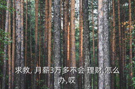 求救, 月薪3萬(wàn)多不會(huì) 理財(cái).怎么辦,哎