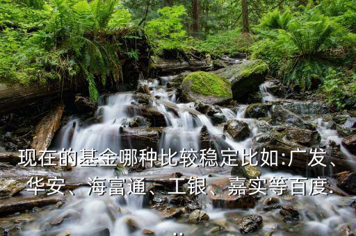現(xiàn)在的基金哪種比較穩(wěn)定比如:廣發(fā)、 華安、海富通、工銀、嘉實(shí)等百度...