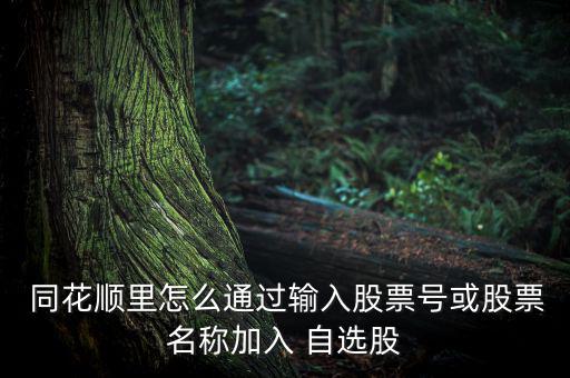  同花順里怎么通過(guò)輸入股票號(hào)或股票名稱加入 自選股