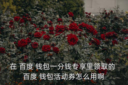 在 百度 錢(qián)包一分錢(qián)專(zhuān)享里領(lǐng)取的 百度 錢(qián)包活動(dòng)券怎么用啊