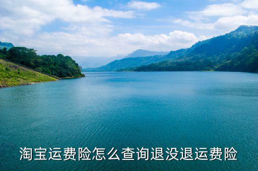 淘寶運(yùn)費(fèi)險怎么查詢退沒退運(yùn)費(fèi)險