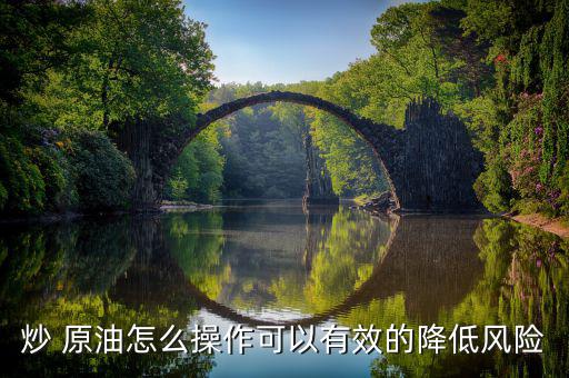 怎么阻止炒原油,投機原油降低風(fēng)險有妙招