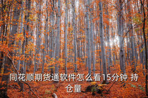 同花順期貨通軟件怎么看15分鐘 持倉(cāng)量