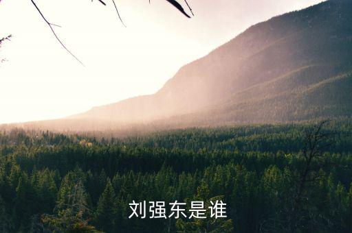 江蘇富豪榜怎么沒有劉強(qiáng)東,劉強(qiáng)董夫婦財富584.2億