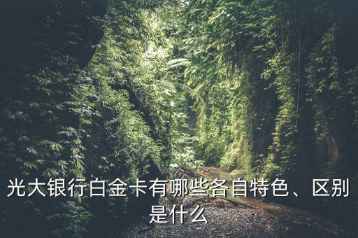 光大銀行白金卡有哪些各自特色、區(qū)別是什么