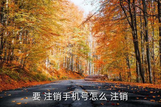 要 注銷手機(jī)號怎么 注銷