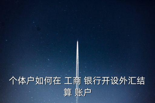 個(gè)體戶(hù)如何在 工商 銀行開(kāi)設(shè)外匯結(jié)算 賬戶(hù)